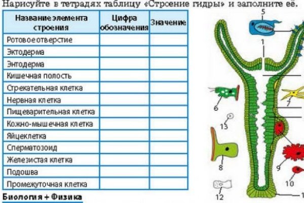 Как найти кракен в торе