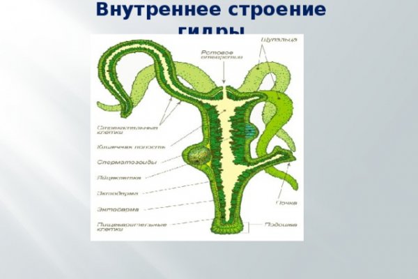 Ссылки на кракена и на мегу