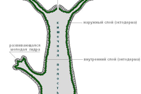 Кракен официальная ссылка зеркало